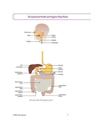 IOSH Managing Safely Reference Guide Sample Occupational Health Hygiene Step Notes Page 1