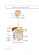 IOSH Managing Safely Reference Guide Sample Occupational Health Hygiene Step Notes Page 1